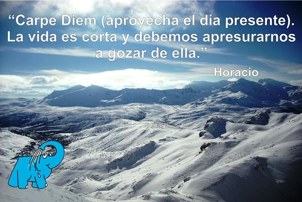 Una Enseñanza de Horacio en la Frase del Día del Elefante Azul de Avilés.